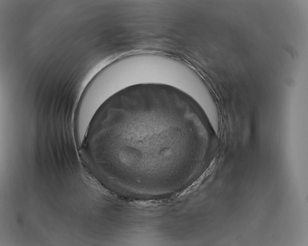 X0000113370100200910061108