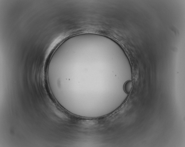 X0000113370102200910061108