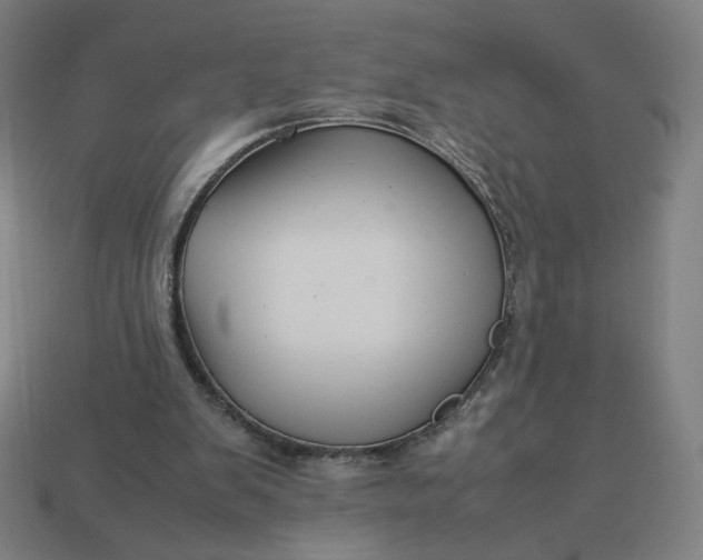 X0000113370103200910061108