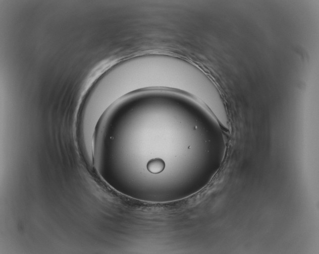 X0000113370104200910061108