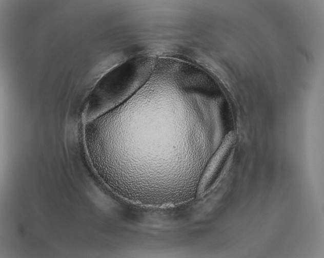 X0000113370105200910061108