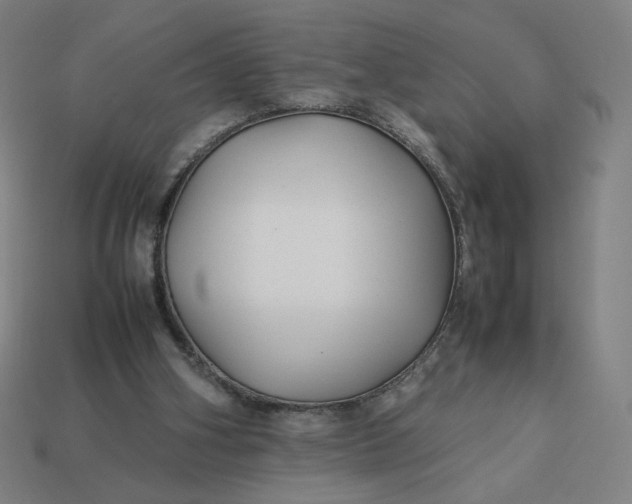X0000113370106200910061108