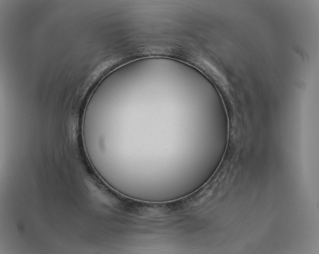 X0000113370107200910061108