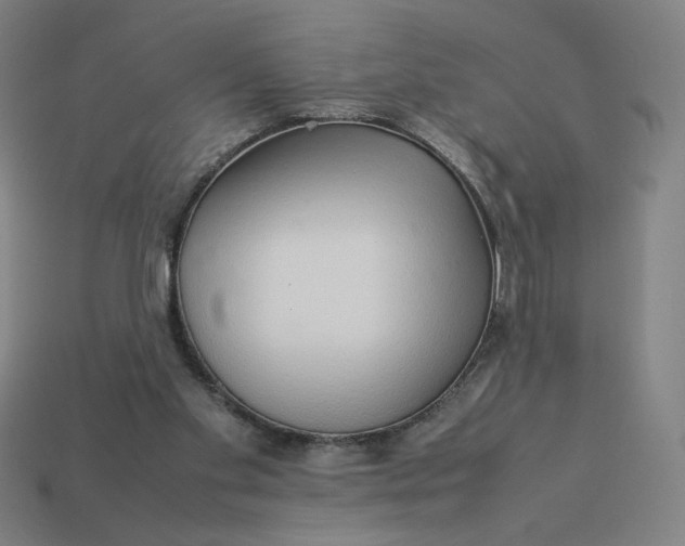 X0000113370109200910061108