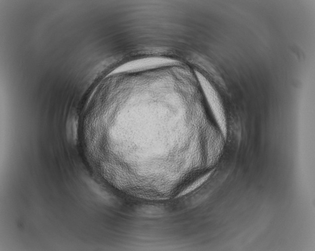 X0000113370110200910061108