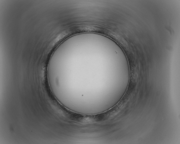 X0000113370111200910061108