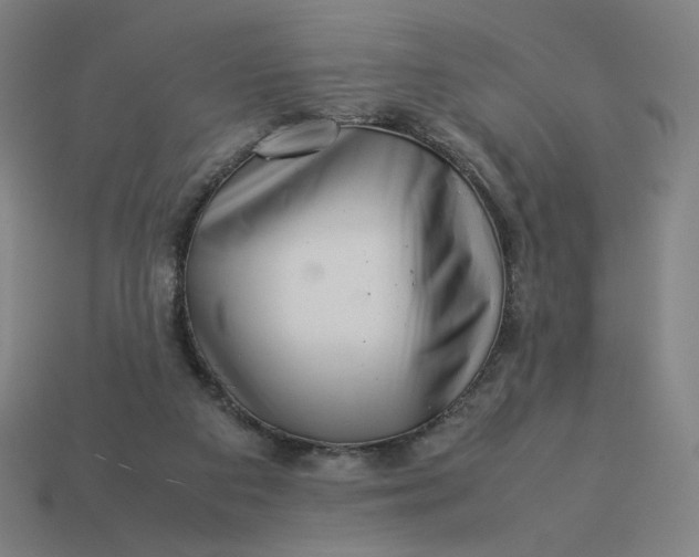 X0000113370113200910061108