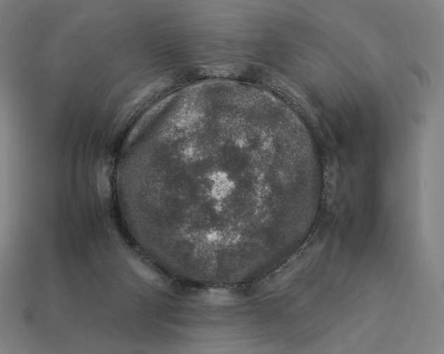 X0000113370114200910061108