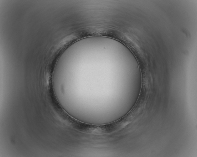 X0000113370115200910061108
