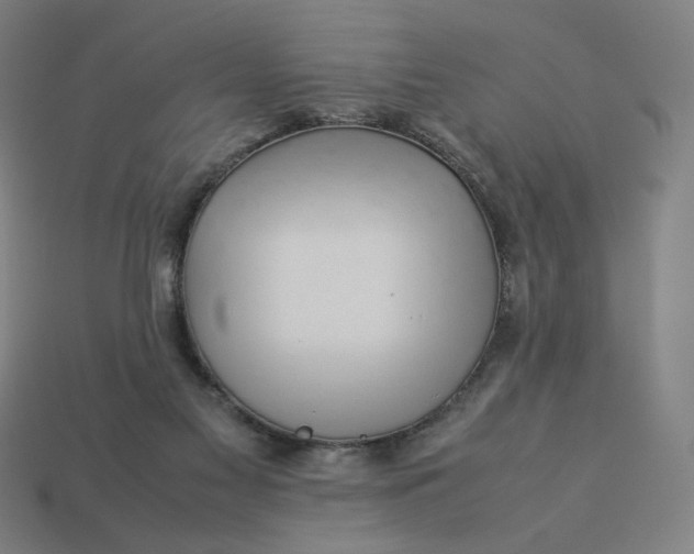 X0000113370117200910061108