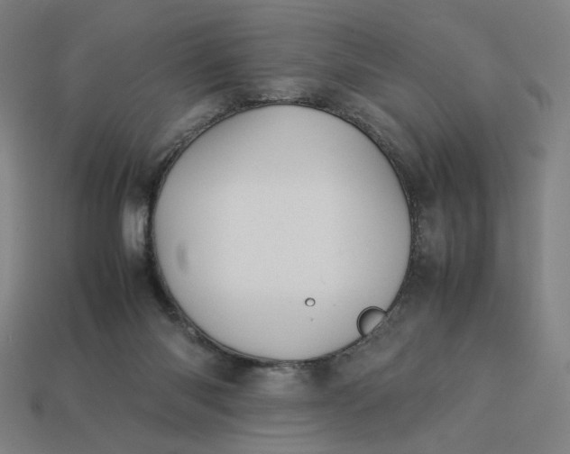 X0000113370118200910061108