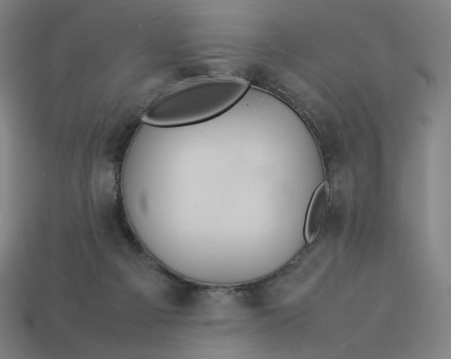 X0000113370121200910061108