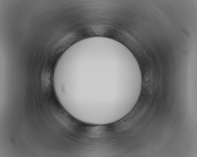 X0000113370122200910061108