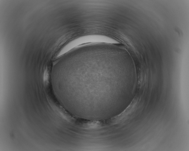X0000113370124200910061108
