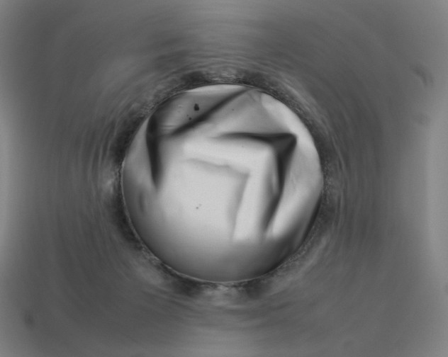 X0000113370125200910061108