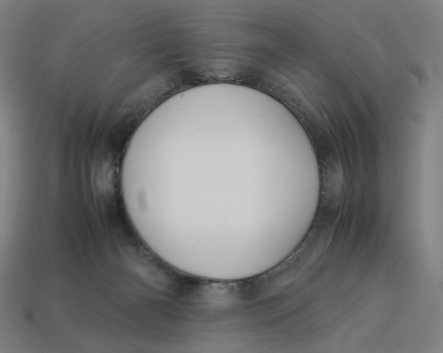 X0000113370126200910061108