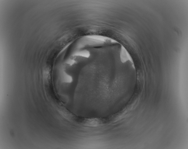 X0000113370127200910061108