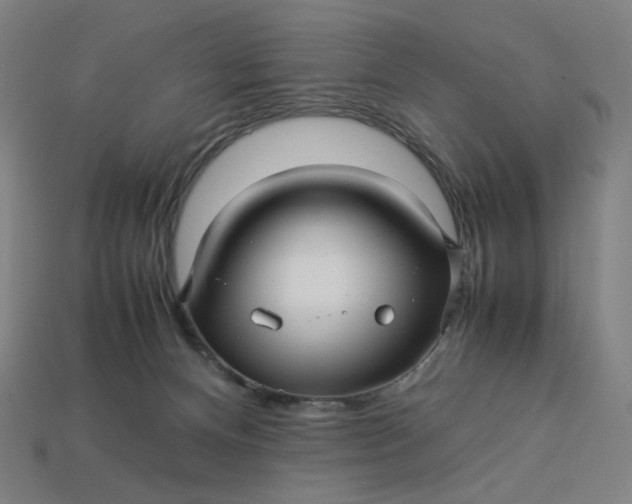 X0000113370128200910061108