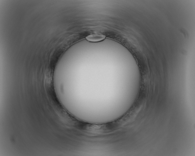 X0000113370129200910061108
