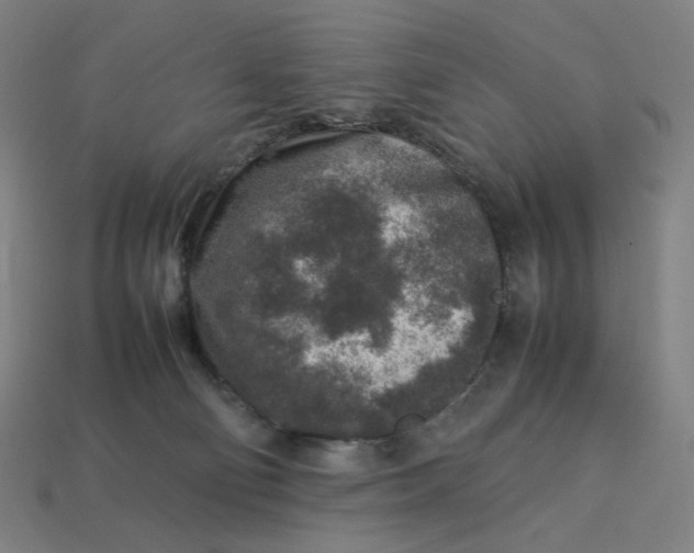 X0000113370130200910061108