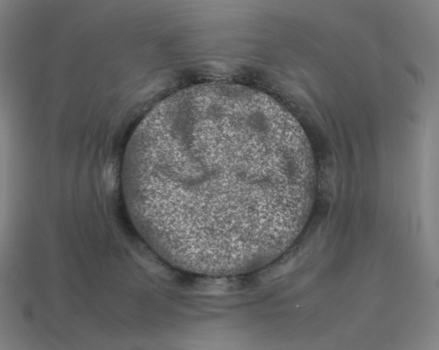 X0000113370131200910061108