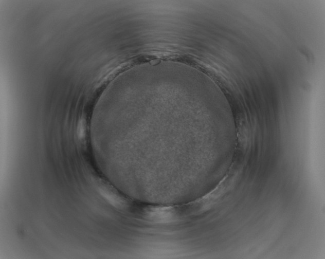 X0000113370132200910061108