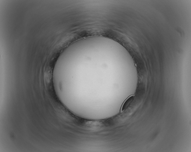 X0000113370133200910061108