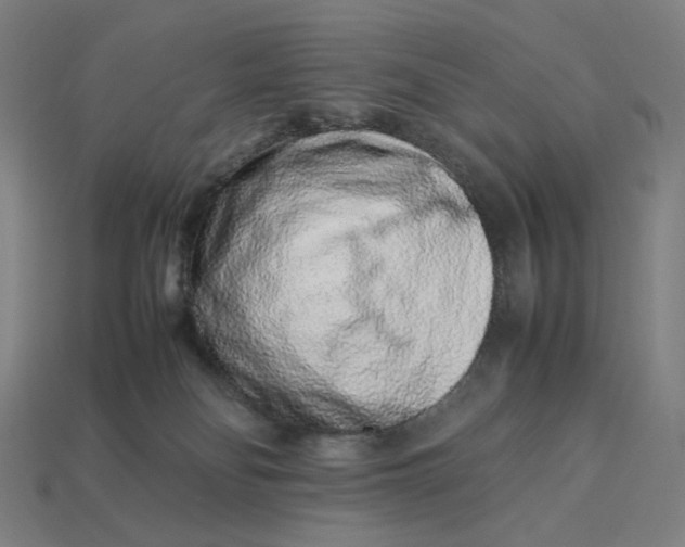 X0000113370134200910061108