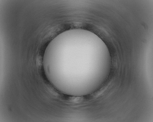 X0000113370135200910061108