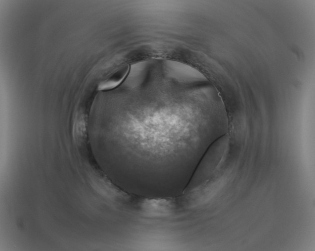 X0000113370137200910061108