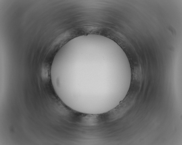 X0000113370138200910061108
