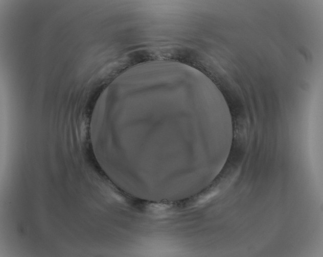 X0000113370139200910061108