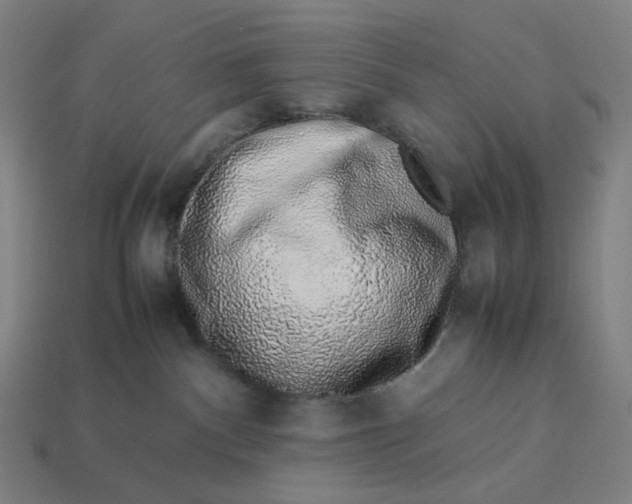 X0000113370140200910061108