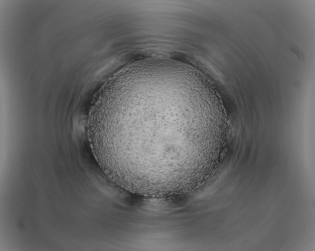 X0000113370141200910061108