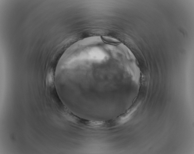 X0000113370143200910061108