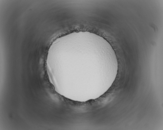 X0000113370144200910061108