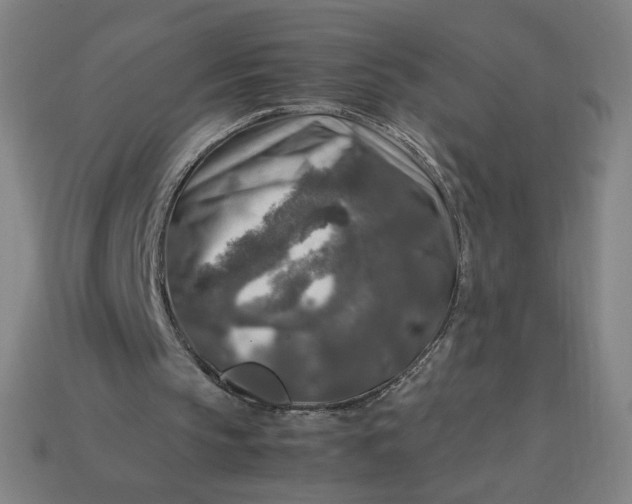 X0000113370145200910061107