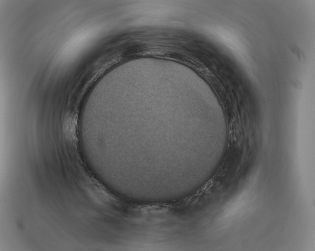 X0000113370146200910061107