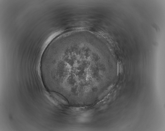 X0000113370147200910061107