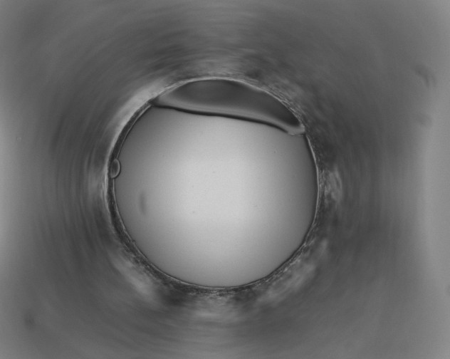 X0000113370148200910061107