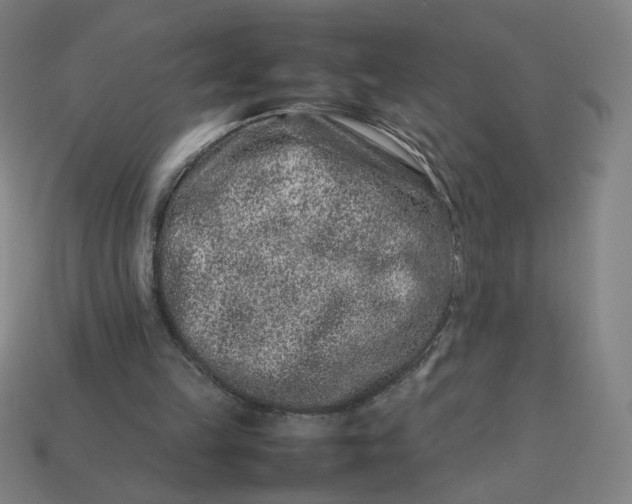 X0000113370149200910061107