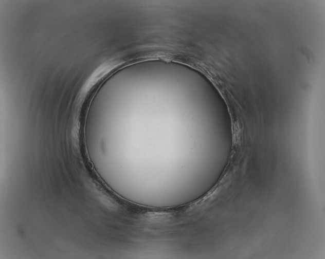 X0000113370150200910061107