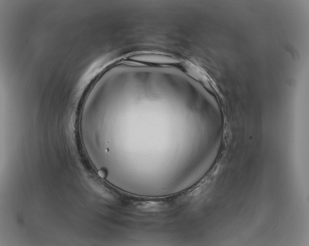 X0000113370151200910061107
