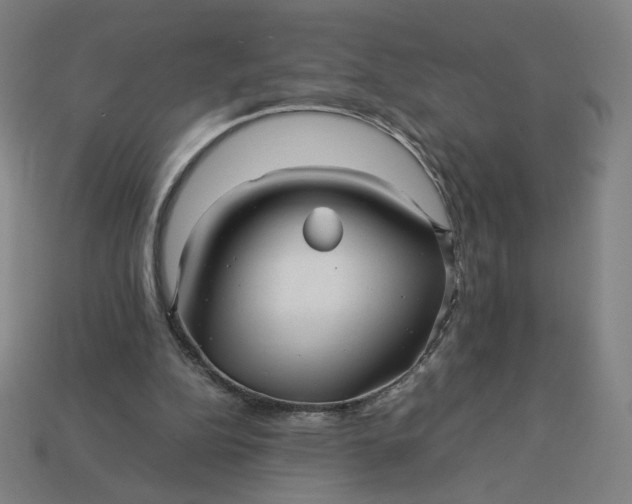 X0000113370152200910061107