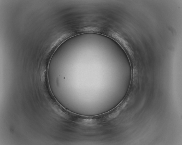 X0000113370153200910061107