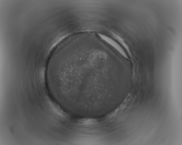 X0000113370154200910061107