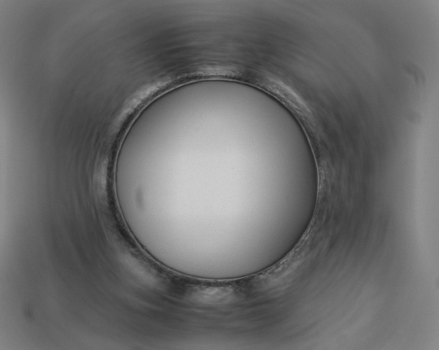 X0000113370155200910061107