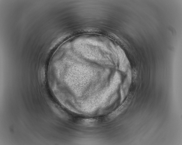 X0000113370158200910061107