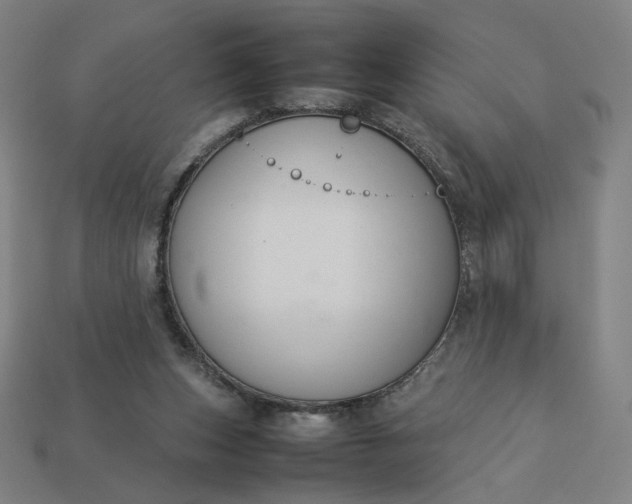 X0000113370159200910061107