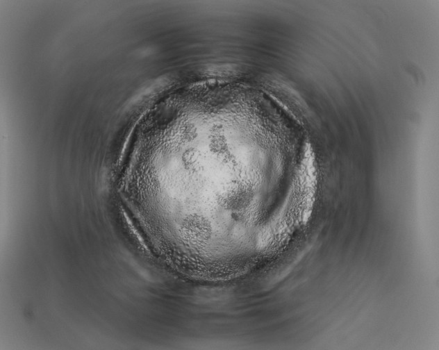 X0000113370161200910061107